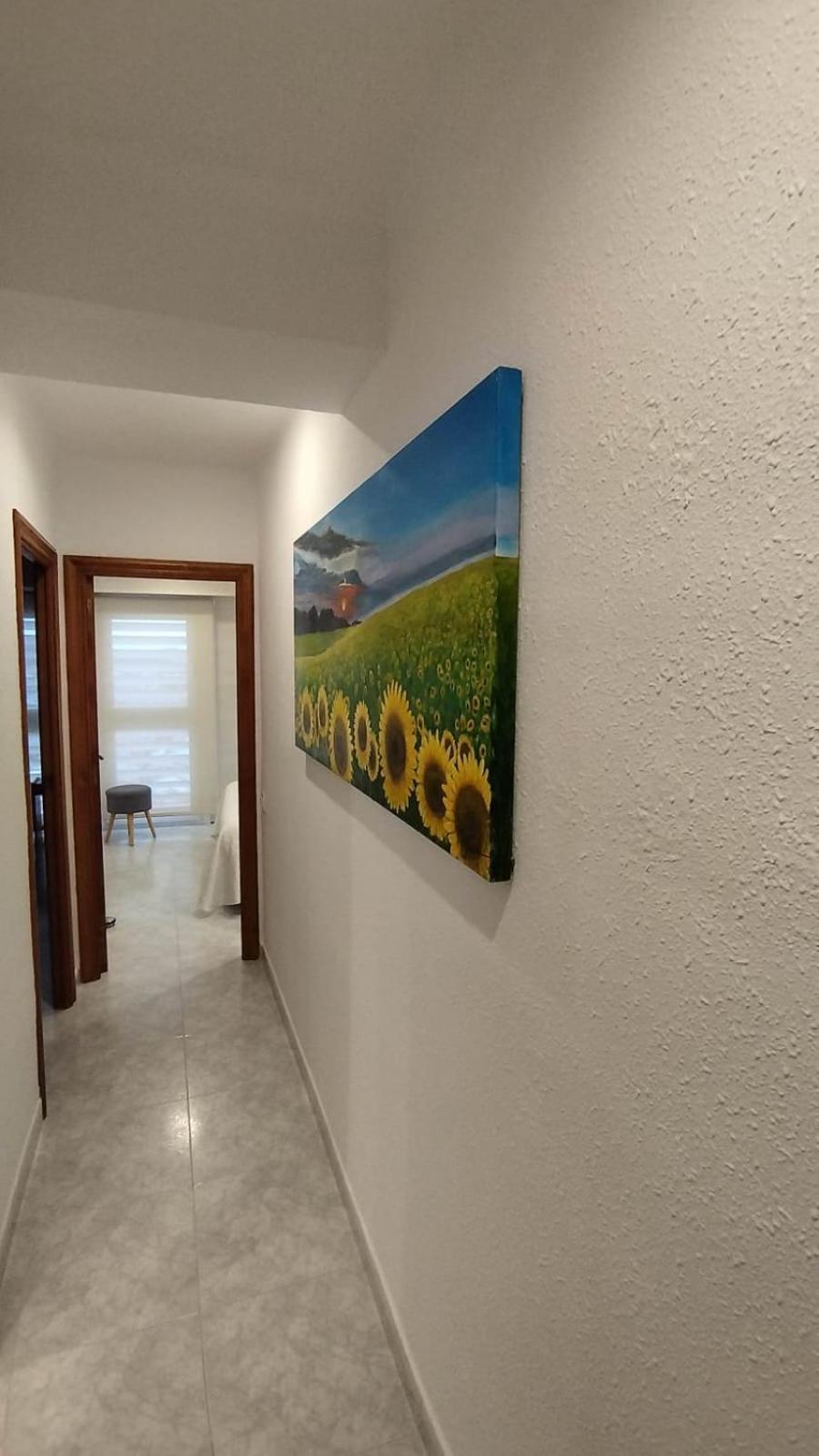 Apartamento Jaume II פלאמוס מראה חיצוני תמונה